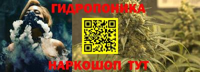 спиды Бийск