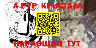 спиды Бийск